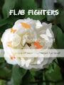 FlabFighters