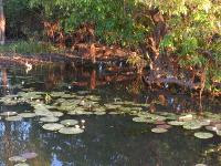 Free Image Hosting at www.ImageShack.us