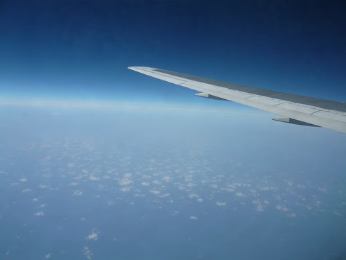 P1000146