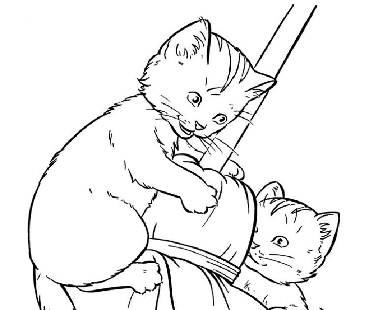 Realistic Kitten Coloring Pages - Coloring Mania