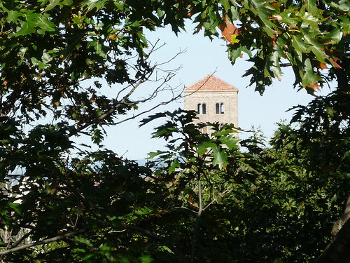 From an Autumn Walk in Upper Manhattan