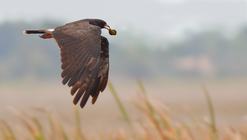 Photo & Video Sharing by SmugMug Photo & Video Sharing by SmugMug