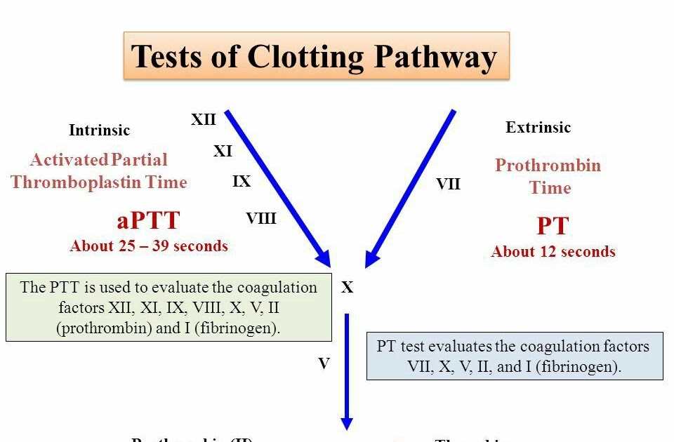 what-is-difference-between-pt-and-ptt-acelis-connected-health