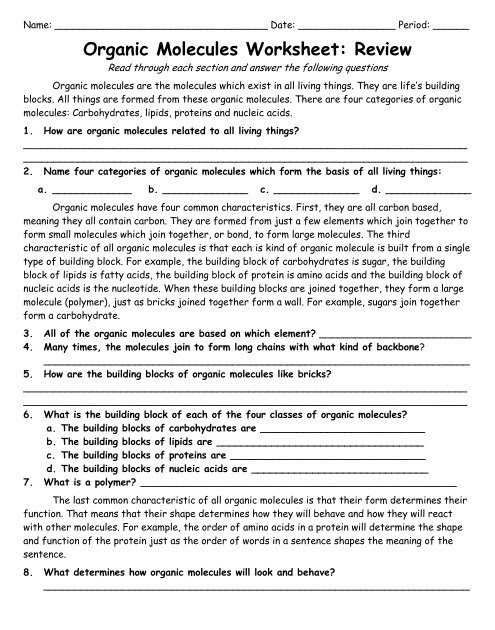33 Carbohydrates Fats And Proteins Worksheet - support worksheet