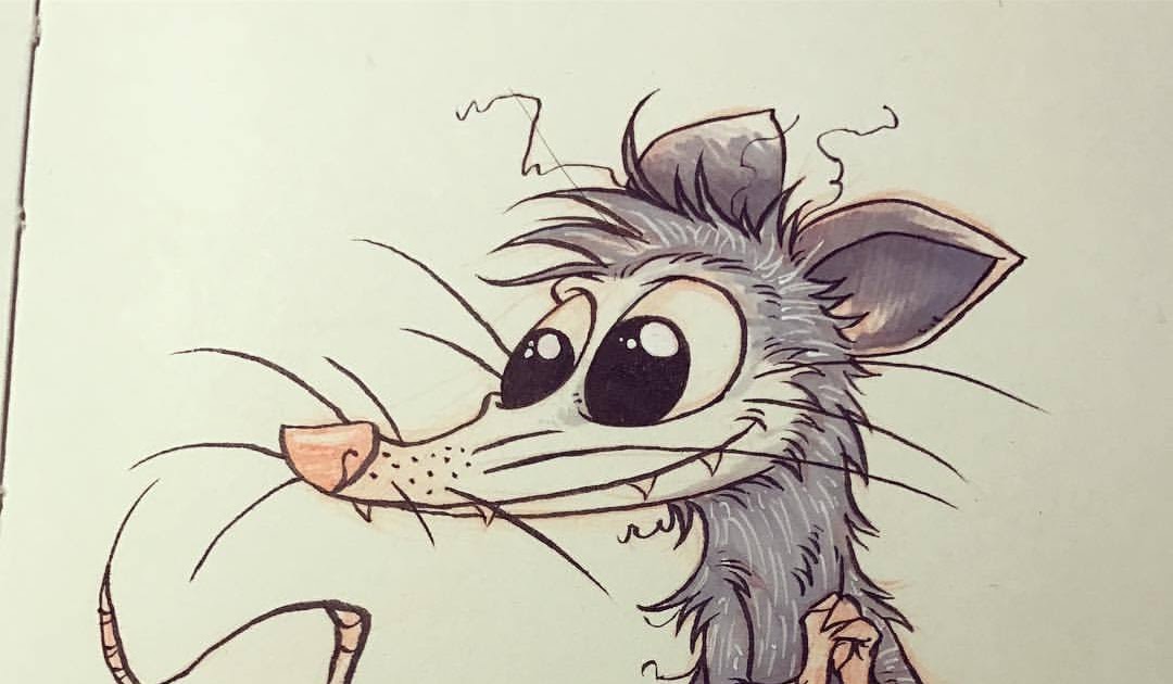 Cartoon Cute Possum Drawing - Woohoo, finally some pictures of her