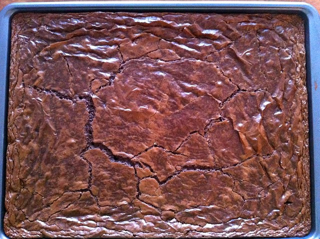 Fudge Brownies Cooling from Oven
