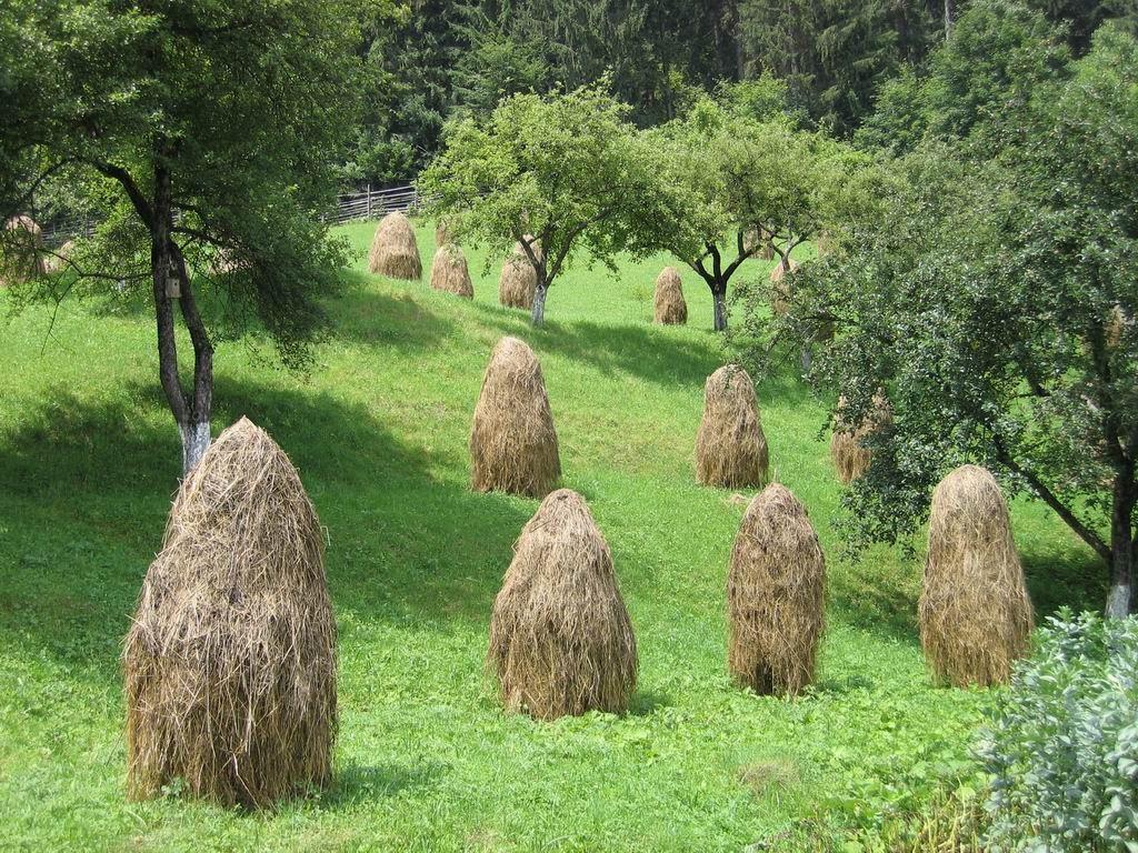 Haystacks - also called Germans