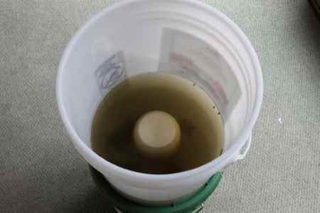 water filter