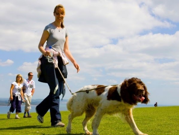 Gewichtsverlust Hund
