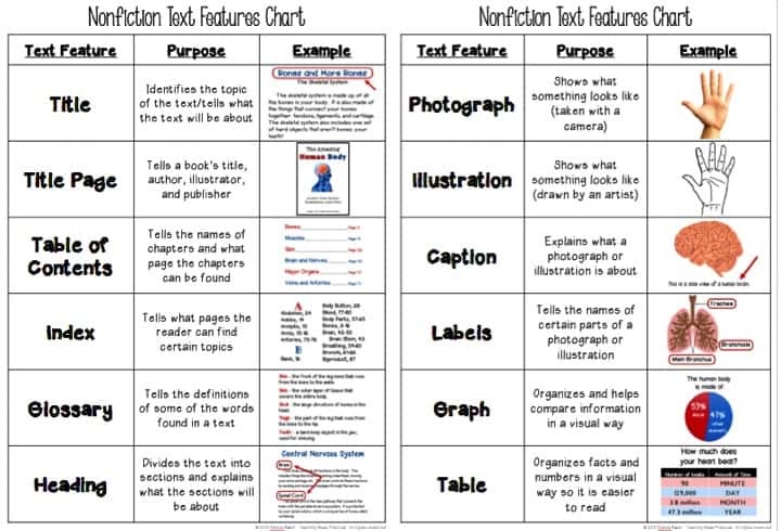 Text Features Anchor Chart 2nd Grade