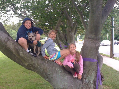 Kiddies