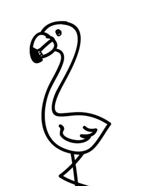 malvorlage flamingo einfach