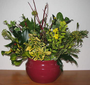 Greeneryinpot_3 Greeneryinpot_3