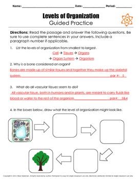 Microscope Mania Answer Key - Riz Books
