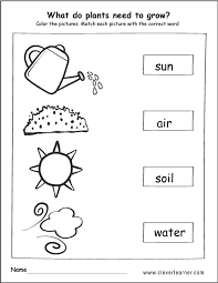 Needs Of Plants Worksheets For Grade 1 - Karema Web