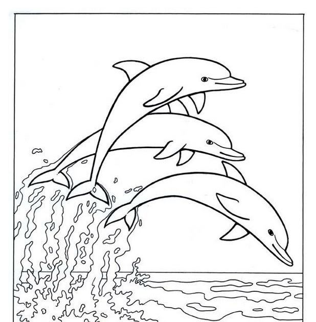 ausmalbild delfin mandala - cartoon-bild
