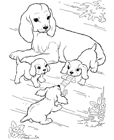 Disegni Da Colorare Di Animali Teneri