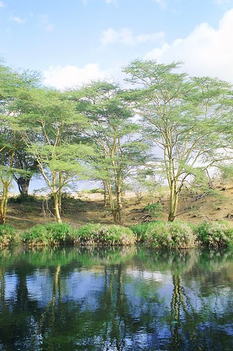 Tsavo West National Park