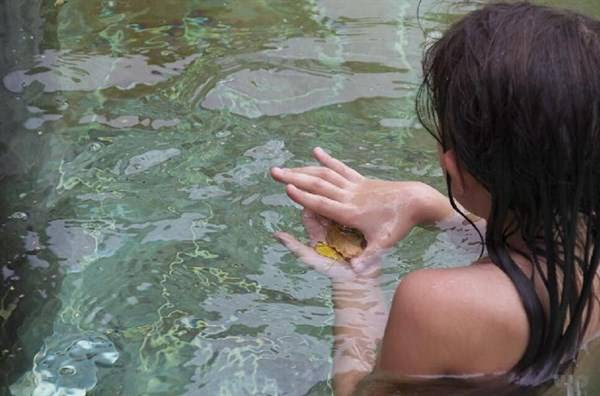 [フリー写真] 蓮池で体に水をかける女性 - パブリックドメインQ 