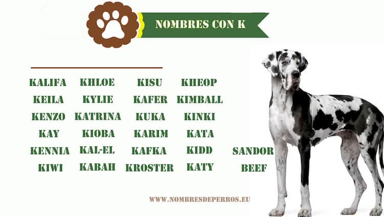 Nombres Chinos Para Perros : Nombres de perros en inglés ¡Razas caninas