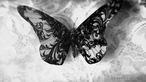 black animated GIF