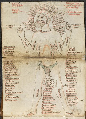Medizinische Texte und Traktate - (Cod. Pal. germ. 644) - 1460