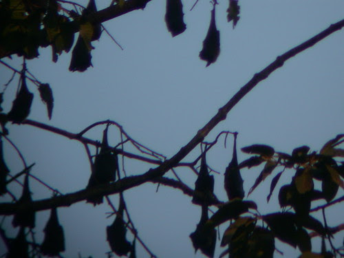 2003-01-22 16-58-53