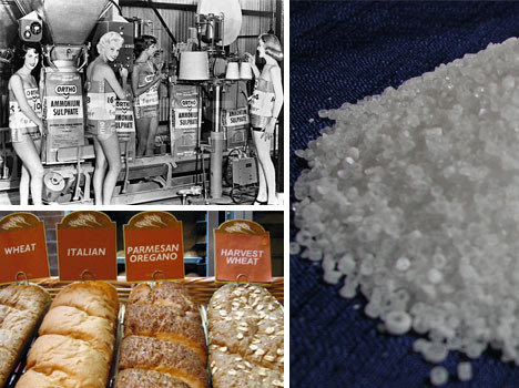 ammonium-sulfate-fertilzer-subway-bread
