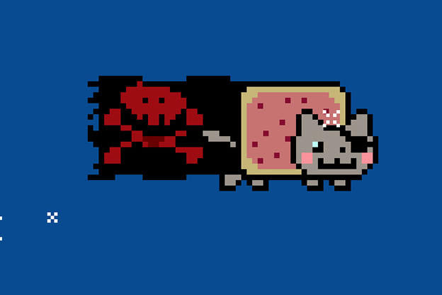 nyan zyz