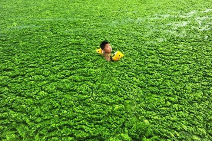 Chinese Beach Turns Green (8 pics) Chinese Beach Turns Green (8 pics)