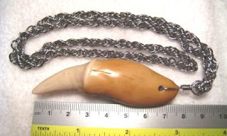 Tooth Pendant Tooth Pendant