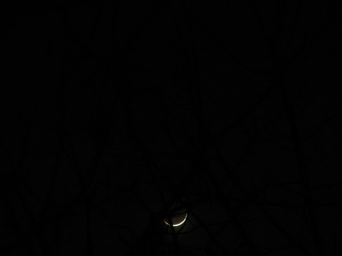 New Moon _ 1525