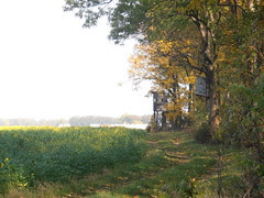 PA300785