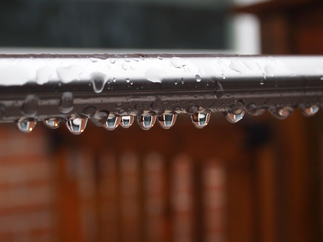 January 13 - RAIN