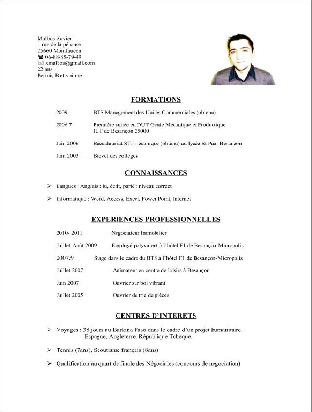 Exemple De Cv Licence Professionnelle  Sample Resume