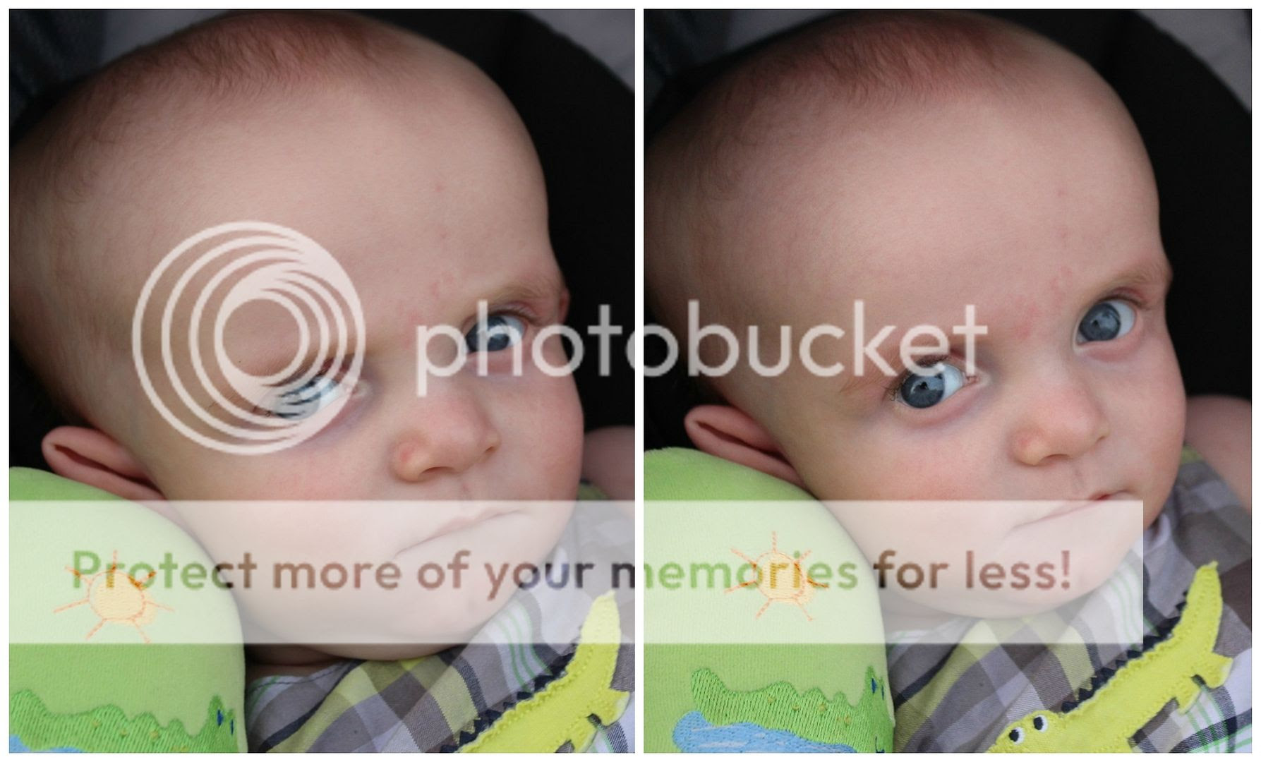 photo Mattox.collage15_zpshbm368ck.jpg