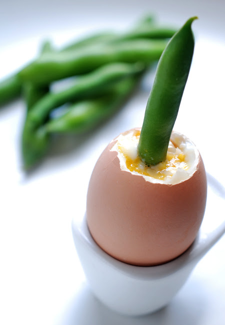 baby broad bean soldiers with soft boiled egg© by Haalo