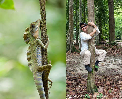Earth Day - Hug a tree!