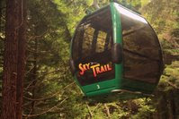 Sky Trail - Trees of Mystery