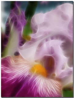 All Dressed Up Abstract