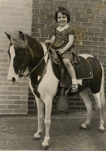 horse