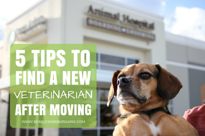 http://www.beaglesandbargains.com/moving-tips-find-pet-new-veterinarian/
