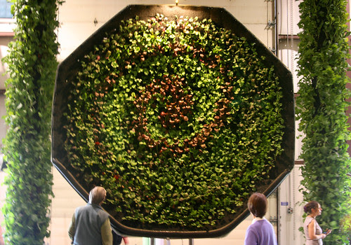 hypno_veggies