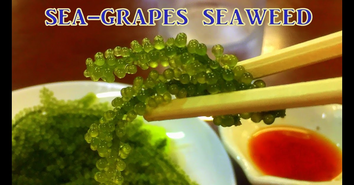 can-you-eat-sea-grapes