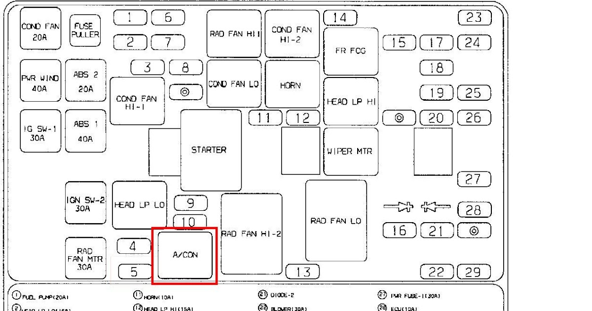 Kia Sportage Wiring Diagram