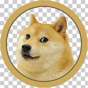 doge
