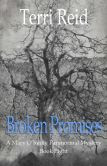 Broken Promises: A Mary O'Reilly Paranormal Mystery - Book Eight