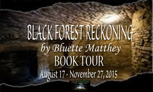Black Forest Reckoning Book Banner