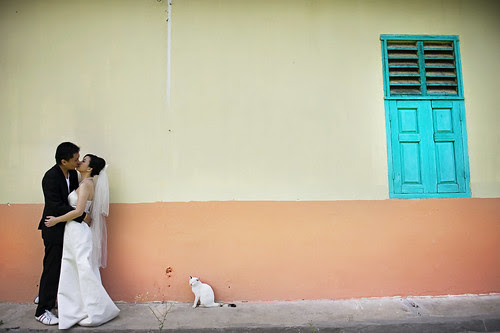 Mandy ~ Pre-wedding photography