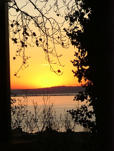 like a window 10 dic 2010